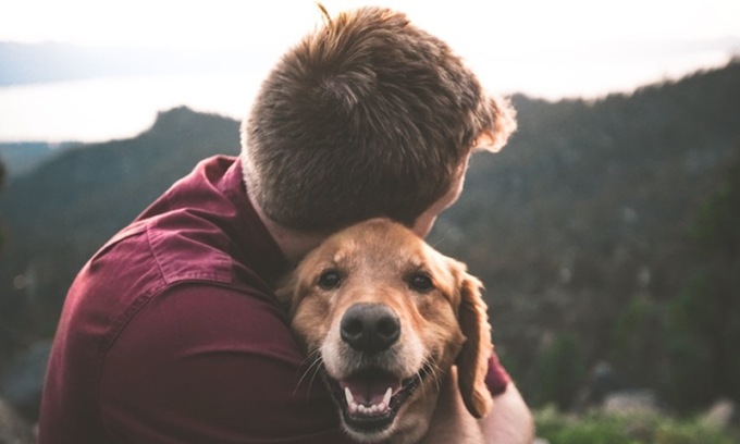 Gli animali domestici potranno essere sepolti col proprietario
