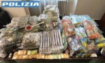 Scoperto appartamento pieno di droga: sequestrati 84 kg di stupefacenti e 46mila euro