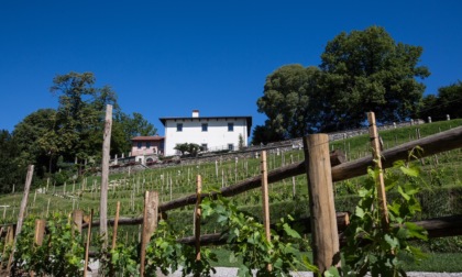 Nuova vita per il parco di Villa Calchi