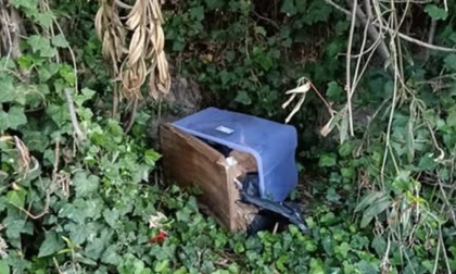 Sei carcasse di cani abbandonate in alcune scatole per strada: si indaga per crudeltà verso gli animali