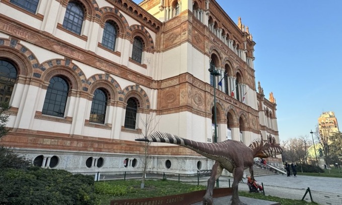 Il Comune di Milano cerca un tassidermista