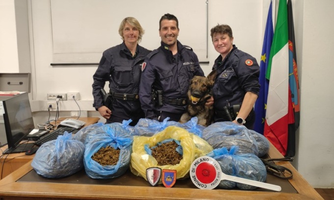 Il cane pastore Qarlo della Polizia locale di Milano scopre 7 chili di marijuana in un capanno sull’Alzaia Naviglio Grande
