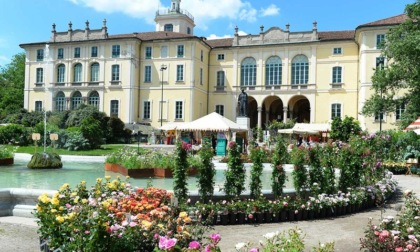 Cosa fare nel weekend a Milano: gli eventi di sabato 10 e domenica 11 maggio 2025