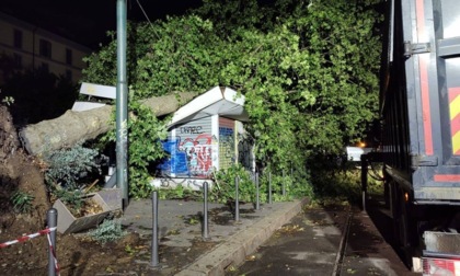 E' ancora allerta arancione per temporali: per sicurezza "non sostare nei parchi o nelle aree verdi"