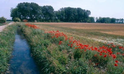 Il nuovo statuto del Parco Agricolo Sud Milano lo trasforma in un ente autonomo