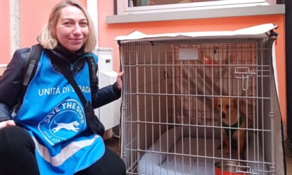 Un rifugio anche per loro: Milano accoglie le persone senza dimora e i loro animali