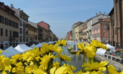 Cosa fare a Milano nel weekend: gli eventi di sabato 19 e domenica 20 luglio 2025