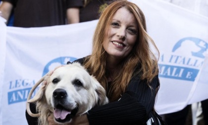 Nuova legge sul maltrattamento degli animali, al via da oggi, 1° luglio: multe salate e carcere fino a 4 anni