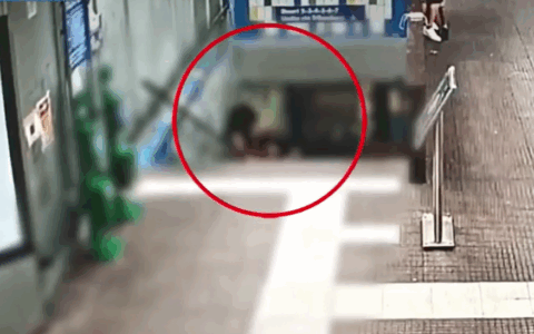 Violenta rapina in stazione: arrestati due giovani a Milano-Certosa