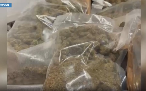 Milano, doppio blitz antidroga: sequestrati oltre 30 chili di stupefacenti, sette arresti