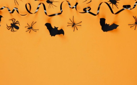 Halloween, maxi sequestro di decorazioni pericolose a Milano