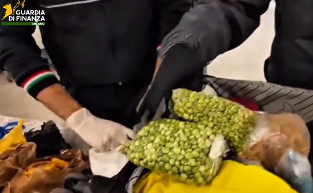 6,5 tonnellate di alimenti a rischio per malattie infettive sequestrati all’aeroporto di Linate