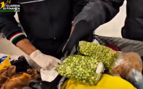 6,5 tonnellate di alimenti a rischio per malattie infettive sequestrati all’aeroporto di Linate