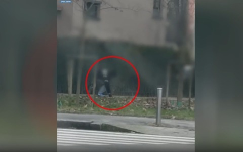 Nasconde la droga sotto i cespugli del parco: arrestato spacciatore 24enne al Giambellino