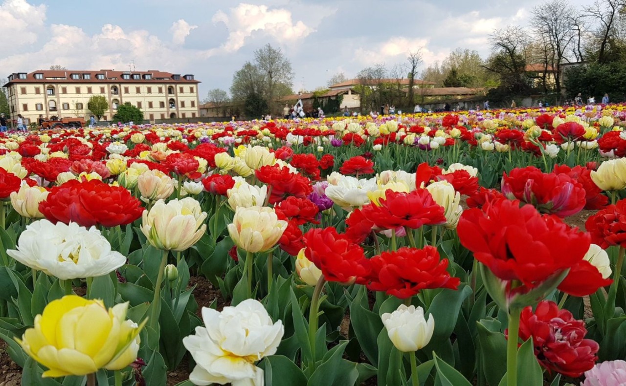 Cosa fare il prossimo weekend a Milano: gli eventi di sabato 14 e domenica 15 marzo 2026
