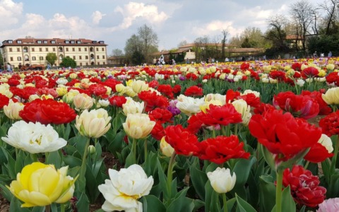 Cosa fare il prossimo weekend a Milano: gli eventi di sabato 14 e domenica 15 marzo 2026