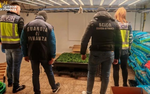 Traffico internazionale di droga, smantellate due organizzazioni criminali: 20 arresti tra Italia e Spagna