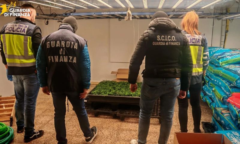 Traffico internazionale di droga, smantellate due organizzazioni criminali: 20 arresti tra Italia e Spagna
