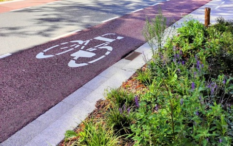 Lombardia, al via il bando ‘Strade Verdi’: 10 milioni di euro per la rigenerazione urbana