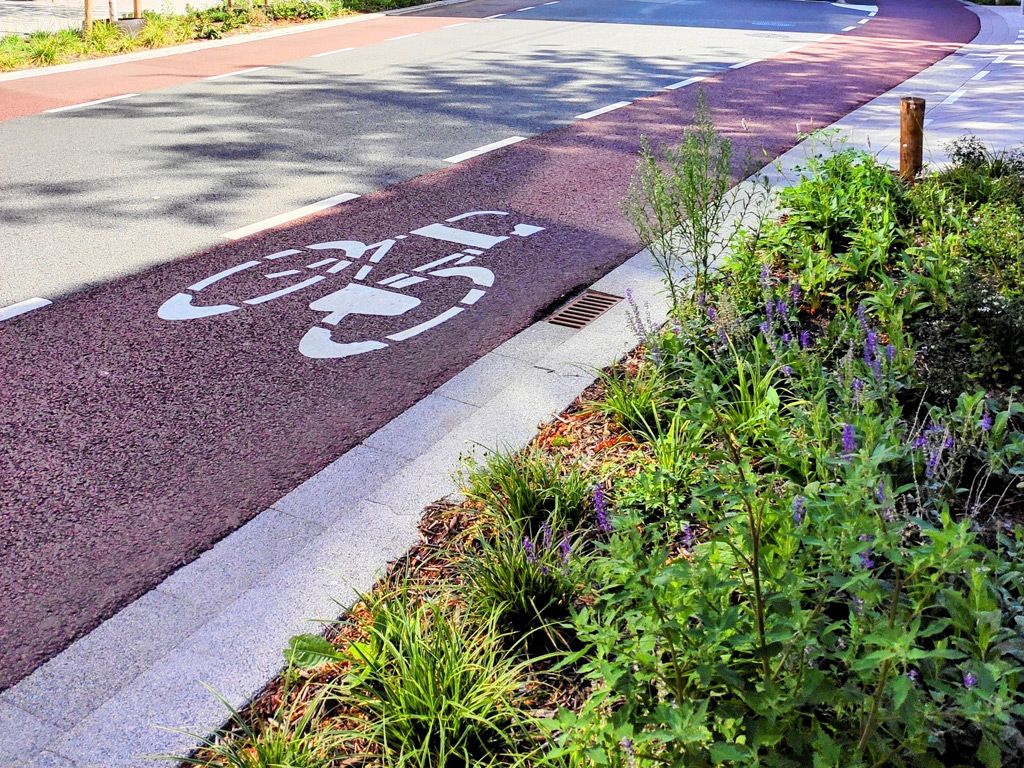 Lombardia, al via il bando ‘Strade Verdi’: 10 milioni di euro per la rigenerazione urbana