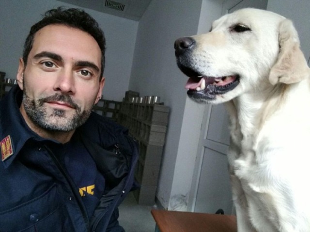 L’ultimo saluto a Maya, il Labrador della Polizia che ha servito il Paese con coraggio