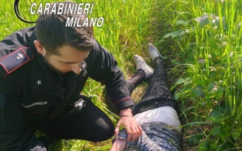 Ritrovata nel bosco la 74enne scomparsa a Bollate domenica mattina