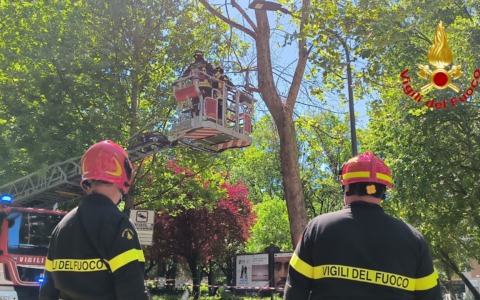 Maltempo in Lombardia, Milano sotto assedio delle raffiche