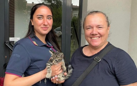Lieto fine in via Mecenate: un gattino salvato grazie al lavoro di squadra