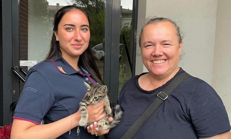 Lieto fine in via Mecenate: un gattino salvato grazie al lavoro di squadra