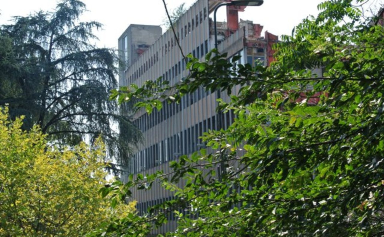 Piazzale Lugano, oltre mille firme contro l’abbattimento di sette alberi storici ai cantieri dell’ex scalo postale