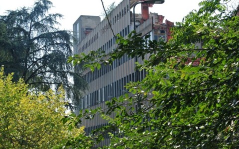 Piazzale Lugano, oltre mille firme contro l’abbattimento di sette alberi storici ai cantieri dell’ex scalo postale