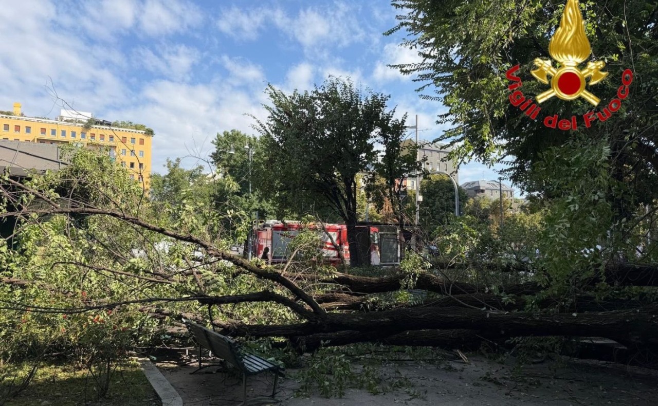 Crolla un grosso ramo da un albero in piazza Risorgimento e travolge tre persone