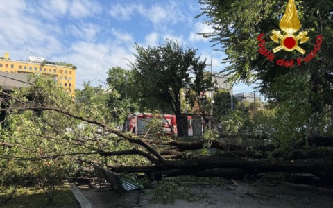 Crolla un grosso ramo da un albero in piazza Risorgimento e travolge tre persone