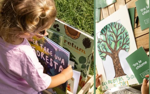 Cento classi milanesi della primaria alla scoperta degli alberi con il progetto “Tra le Chiome”