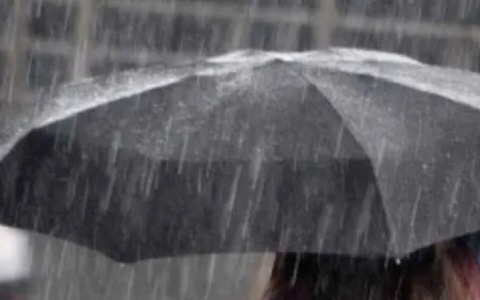 Breve ma intenso temporale a Milano, pioggia e vento fanno cadere alberi e rami: una ventina di interventi dei vigili del fuoco