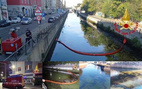 Scia nera nel Naviglio Grande e il cigno ricoperto di gasolio: la Procura indaga sullo sversamento
