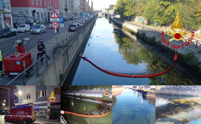 Scia nera nel Naviglio Grande e il cigno ricoperto di gasolio: la Procura indaga sullo sversamento