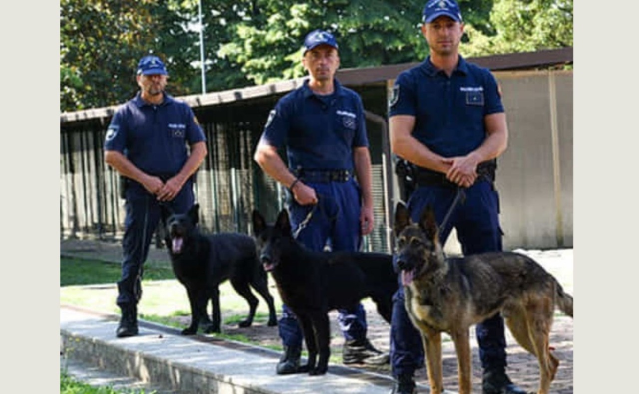 Spaccio in un alloggio Aler di via Palmieri occupato abusivamente da 20 anni: arrestata 26enne