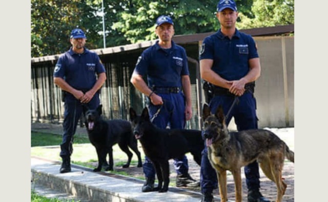 Spaccio in un alloggio Aler di via Palmieri occupato abusivamente da 20 anni: arrestata 26enne