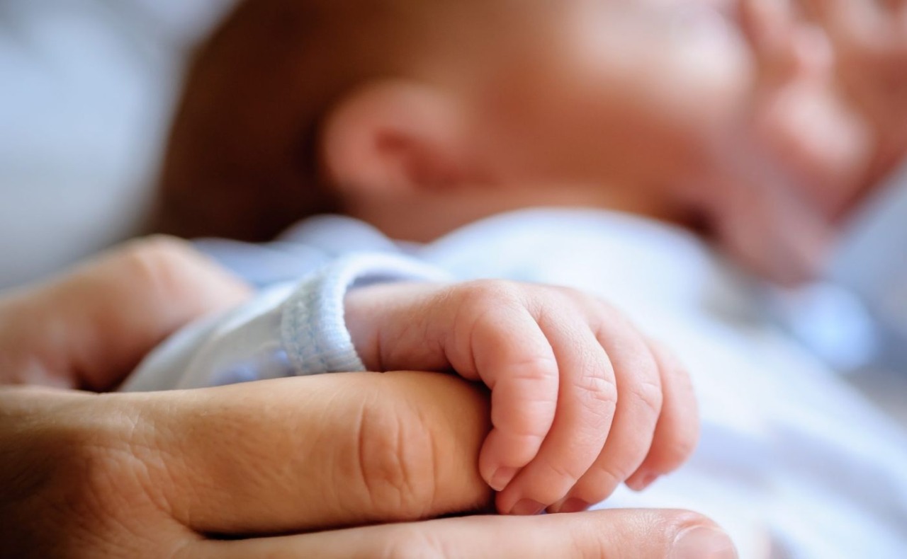 Ricoverato in Terapia intensiva all’ospedale Niguarda il neonato trovato sotto un albero: ecco come sta
