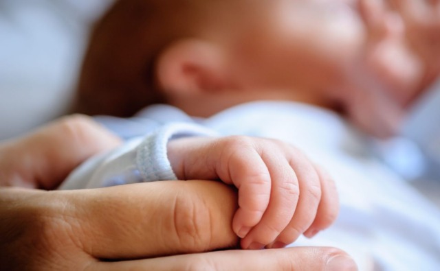 Ricoverato in Terapia intensiva all’ospedale Niguarda il neonato trovato sotto un albero: ecco come sta