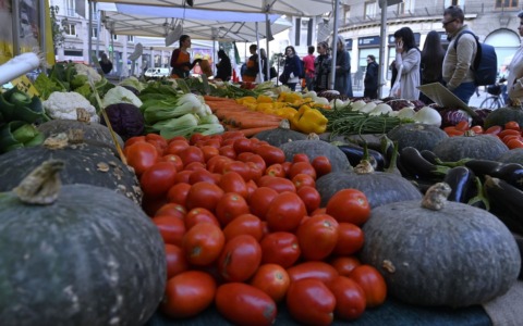 Il Verziere torna alle origini: a largo Augusto debutta il nuovo mercato agricolo