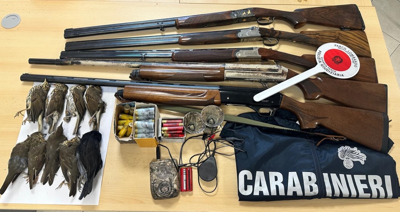 Caccia illegale nel Parco del Ticino: cinque persone denunciate dai Carabinieri Forestali